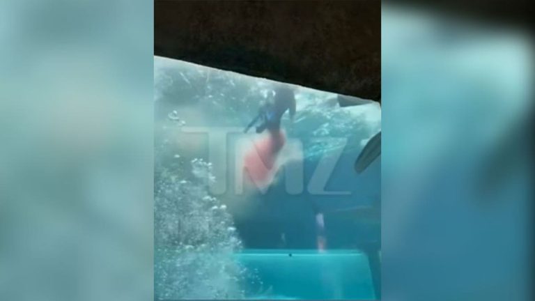 Video shows moments after boy, 10, attacked by shark during tank expedition at Bahamas resort