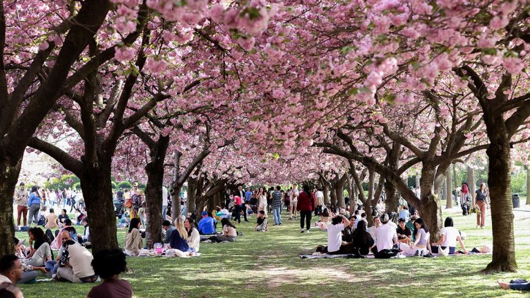 2 of the most beautiful gardens in the world are in the US, the others are scattered across the globe