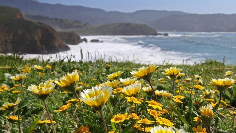 Visiting a US national park this summer? Once there, don’t do this or you’ll be fined