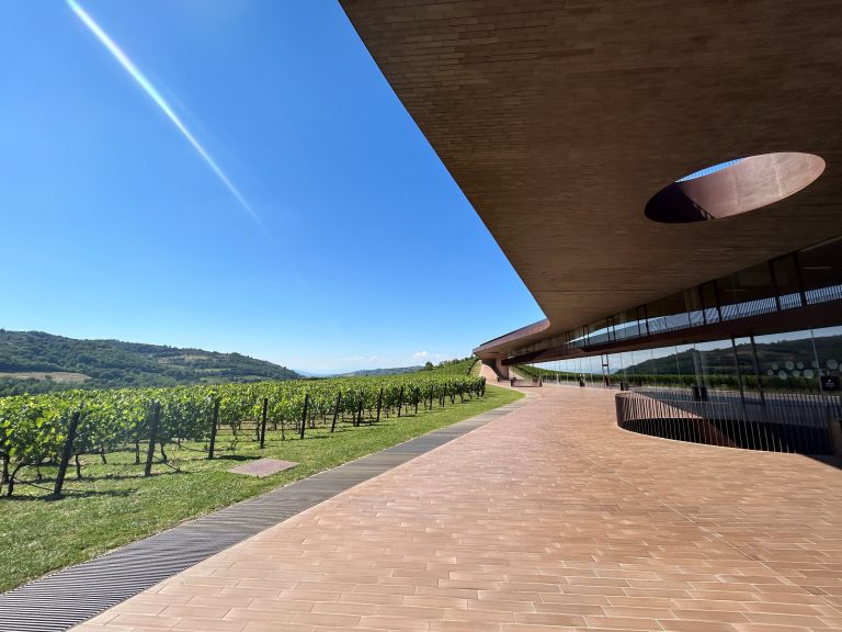 Europe’s wineries battle to survive as extreme heat hurts production