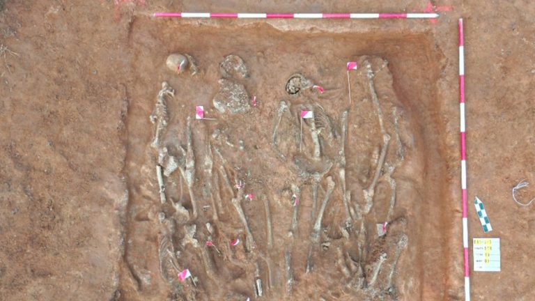 Extraordinary mass graves from centuries-old battles emerge along highway route