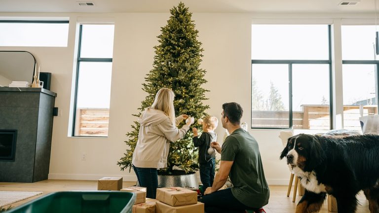 Strange celebrity ‘naked Christmas tree’ trend sparks pushback: ‘Ornaments are a must’