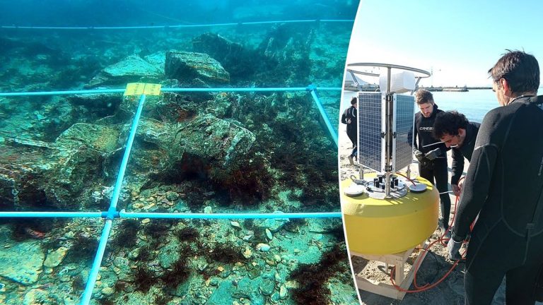More than 100 historic shipwrecks identified at key global shipping route, many at risk